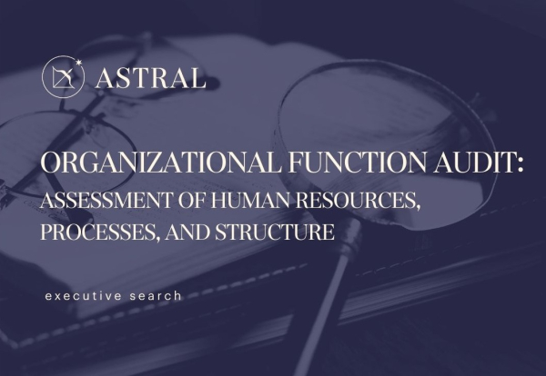 Organizational Function Audit: Assessment of Human Resources, Processes, and Structure